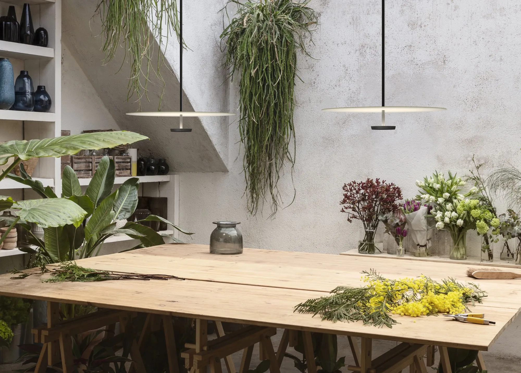 Flat Hanging - Vibia w Mesmetric