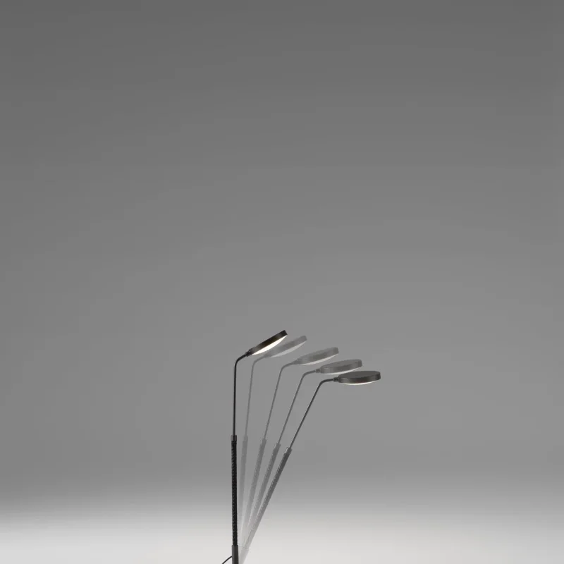 Spoon – Penta at Mesmetric