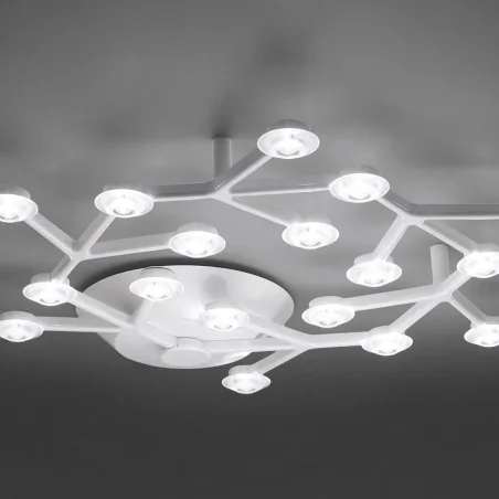 Led Net Circolare