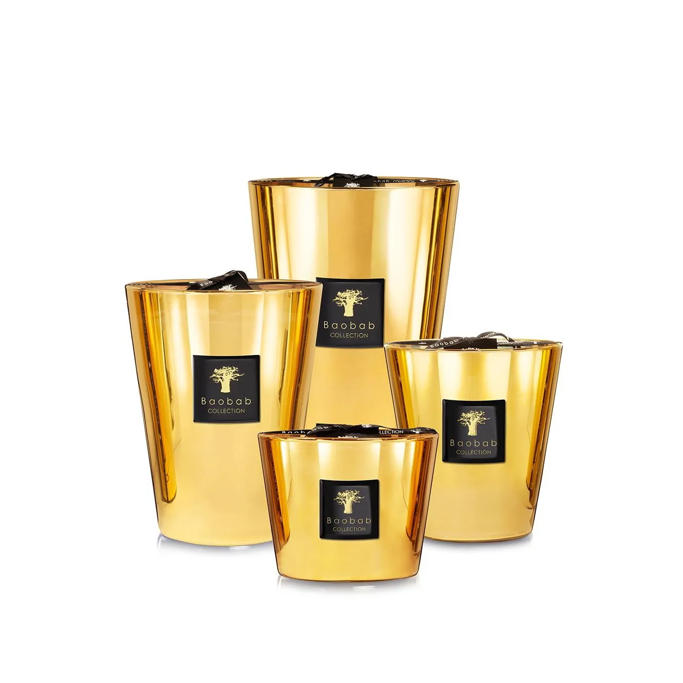 Les exclusives - aurum – Baobab Collection at Mesmetric