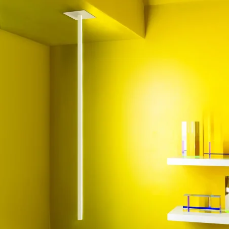 Linescapes cantilevered ceiling