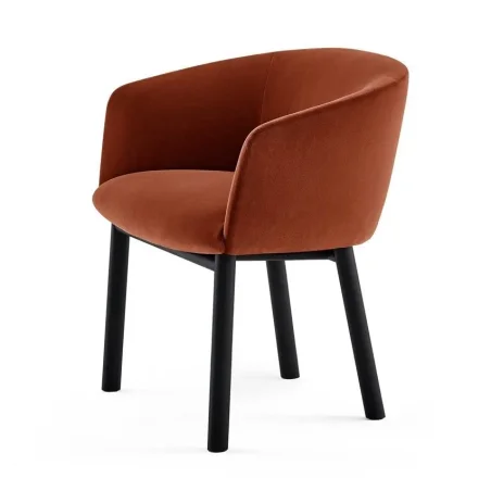 Livrette - Gallotti & Radice w Mesmetric