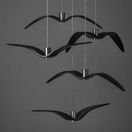Night Birds