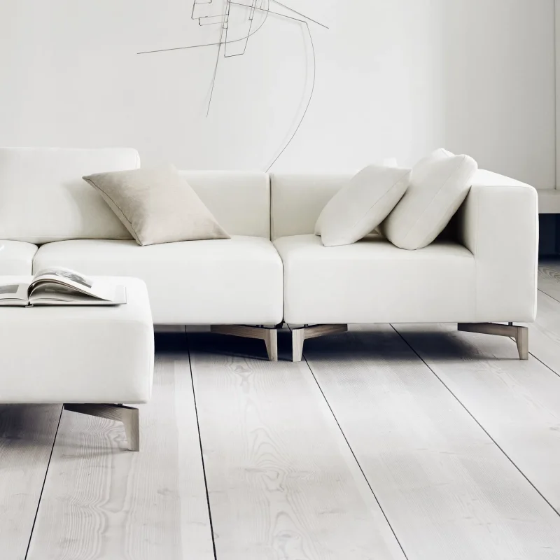 Passion – Softline at Mesmetric