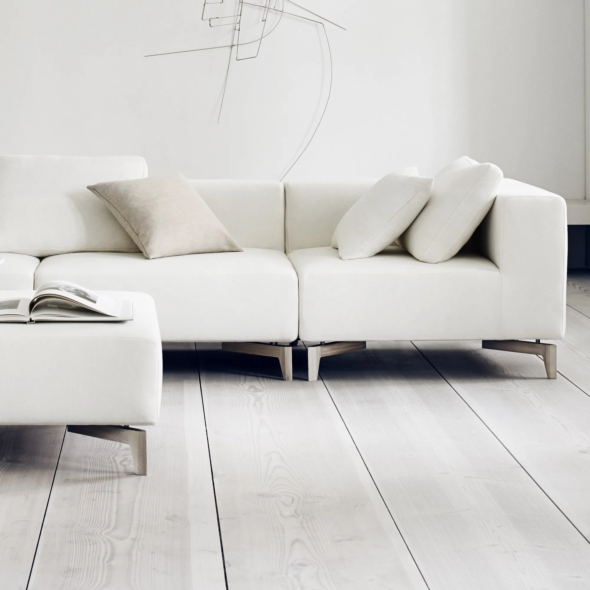 Passion – Softline at Mesmetric