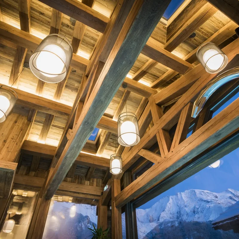 Denglong t indoor / outdoor