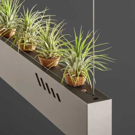 Pure BioAir - OLEV w Mesmetric