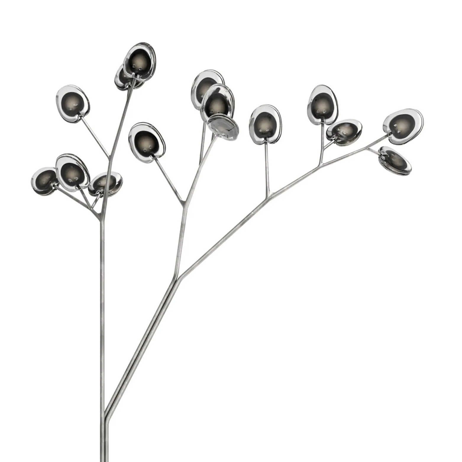 16.15 Tree - Bocci w Mesmetric