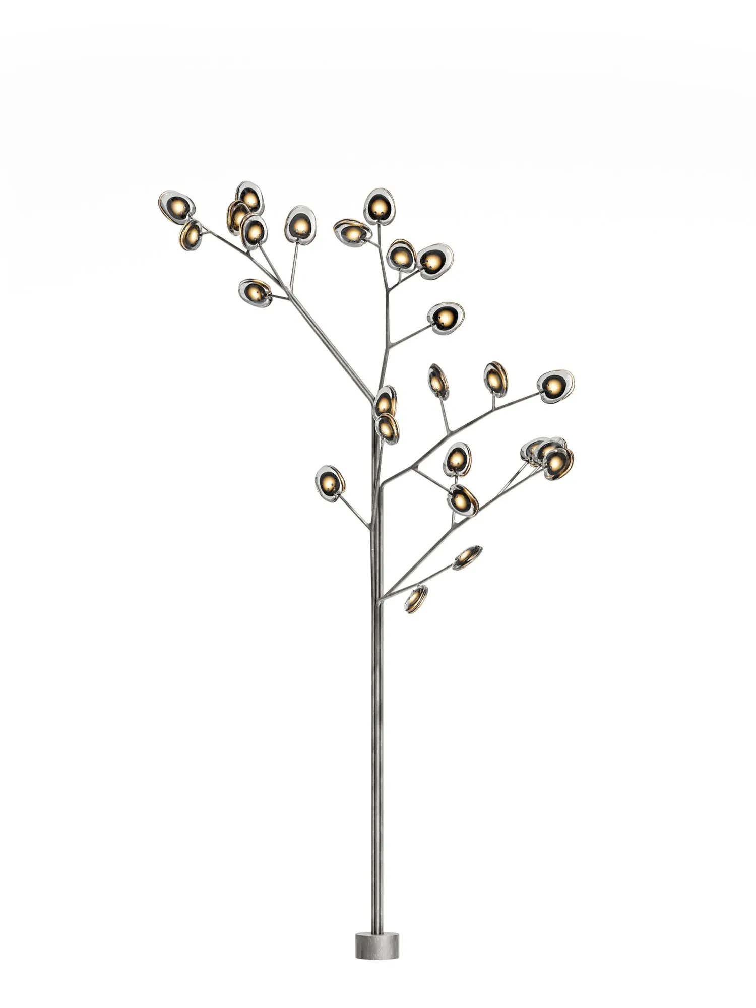 16.25 Tree - Bocci w Mesmetric