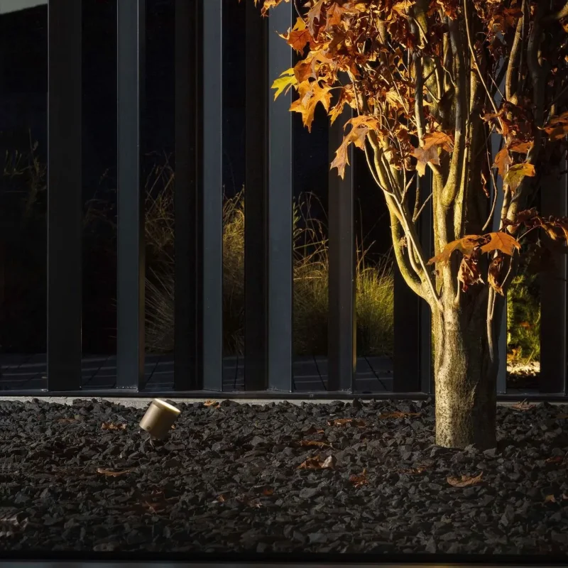 Dot Spot - OLEV w Mesmetric