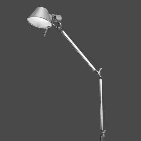 Tolomeo
