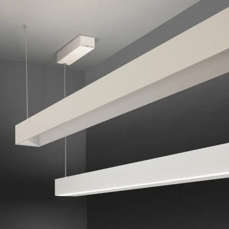 Tru – Nemo Lighting at Mesmetric