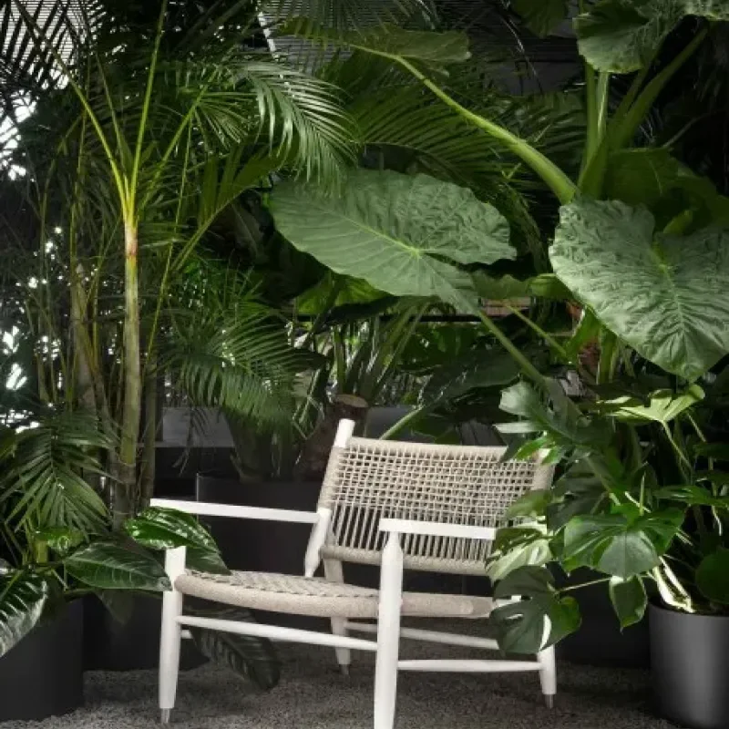 Tessa Armchair Outdoor