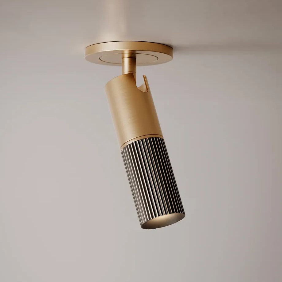 Beak Ceiling Flat