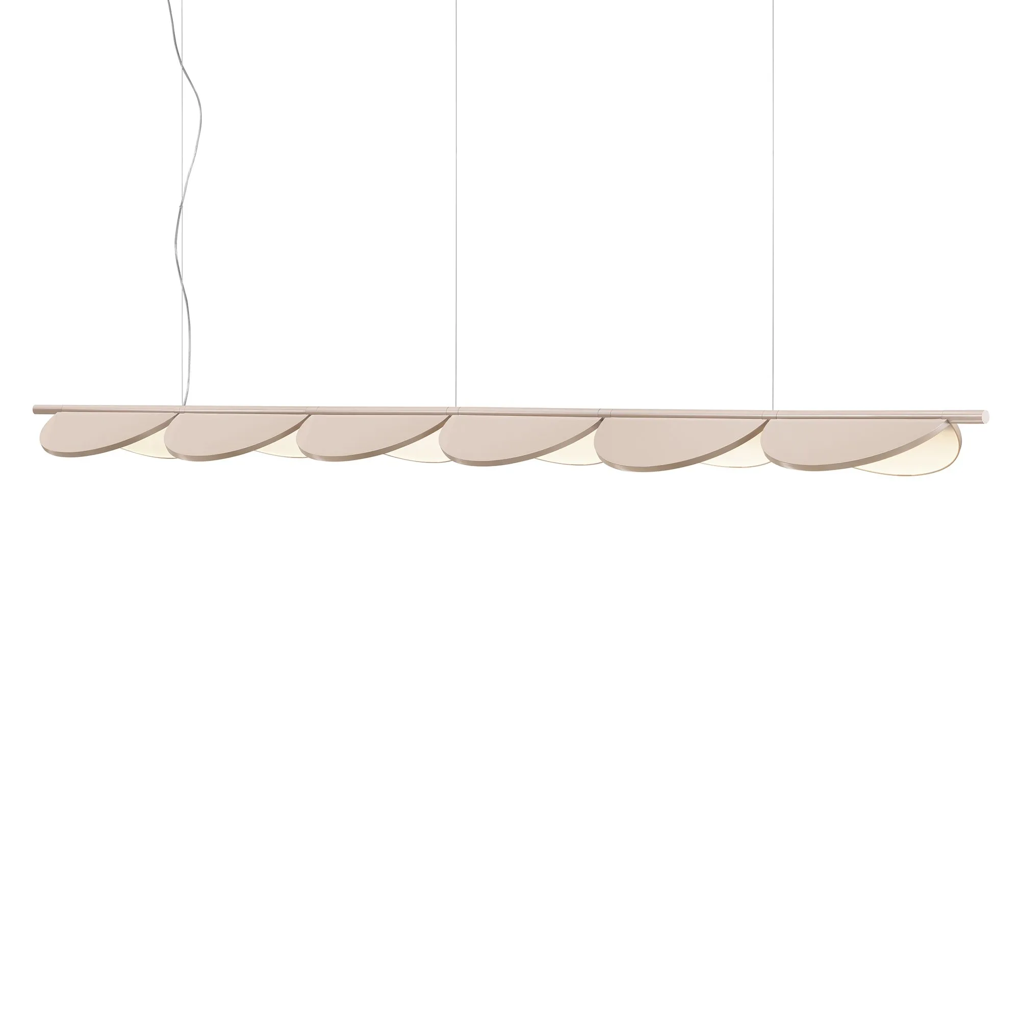 Almendra Linear