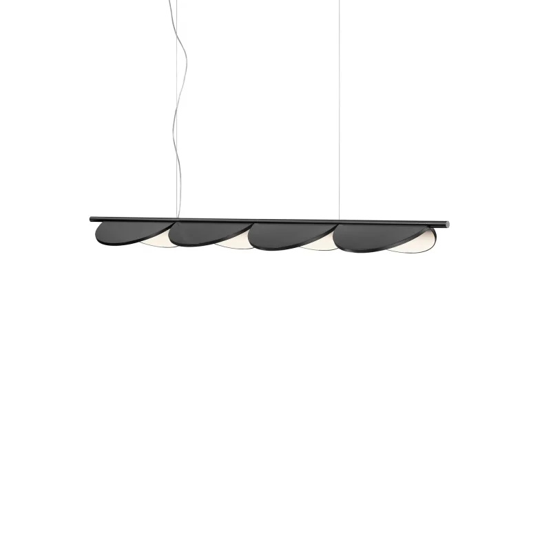 Almendra Linear