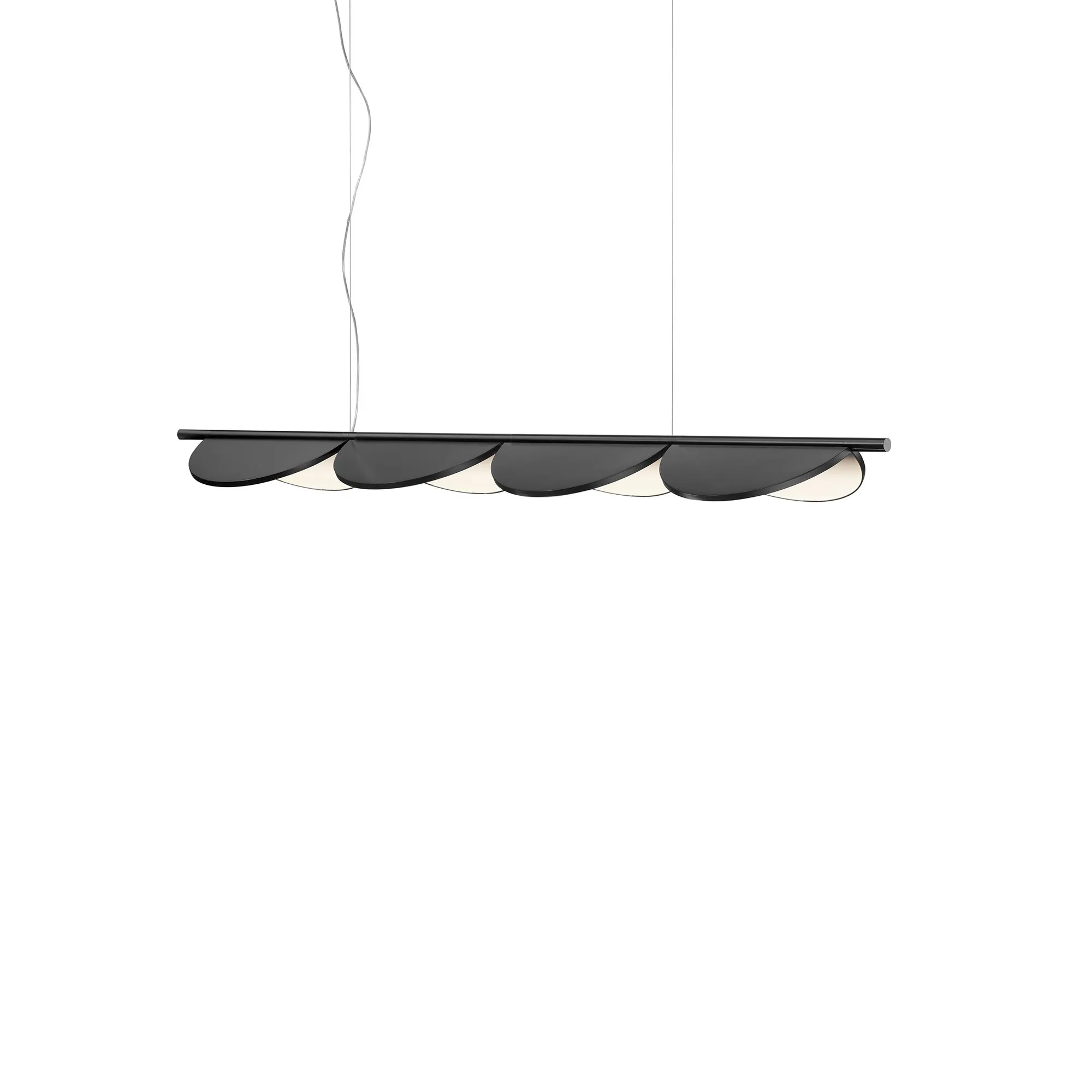 Almendra Linear