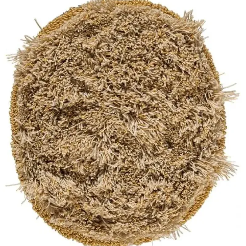 Ålegræs