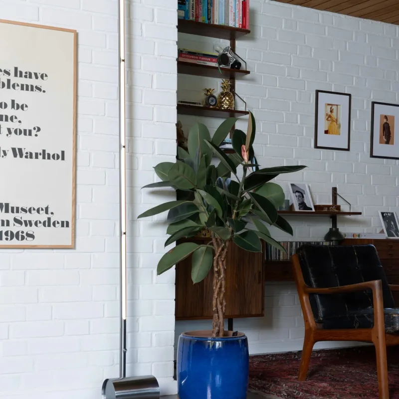 Bloomsbury Floor – Rubn at Mesmetric