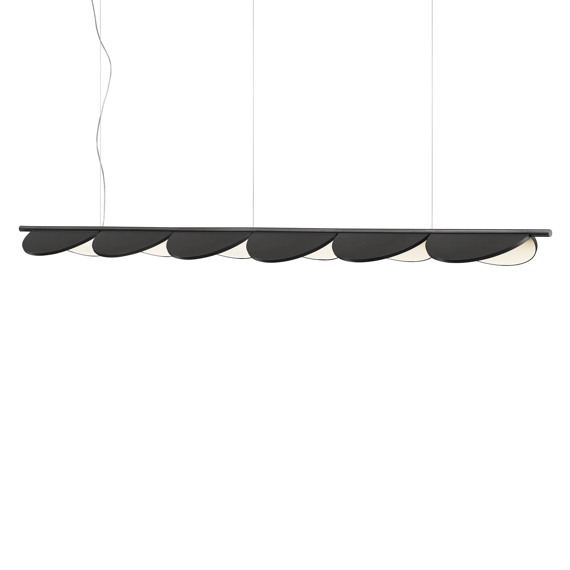 Almendra Linear