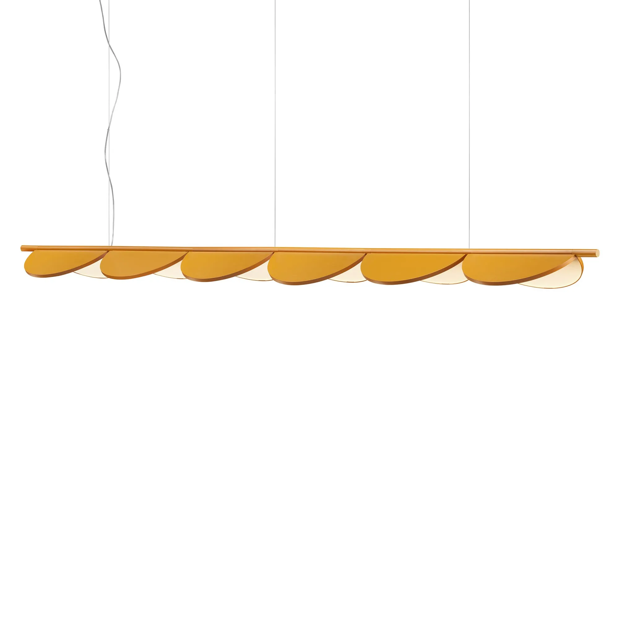 Almendra Linear