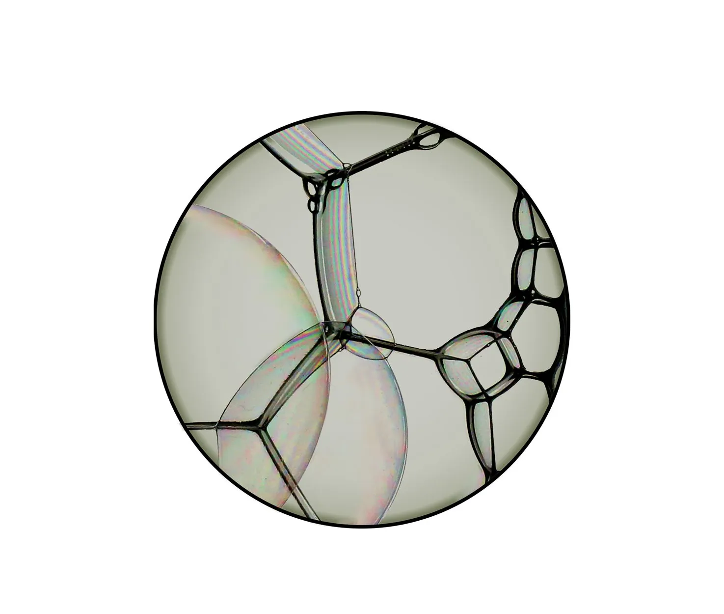 Bubble Zoom - Moooi Carpets w Mesmetric