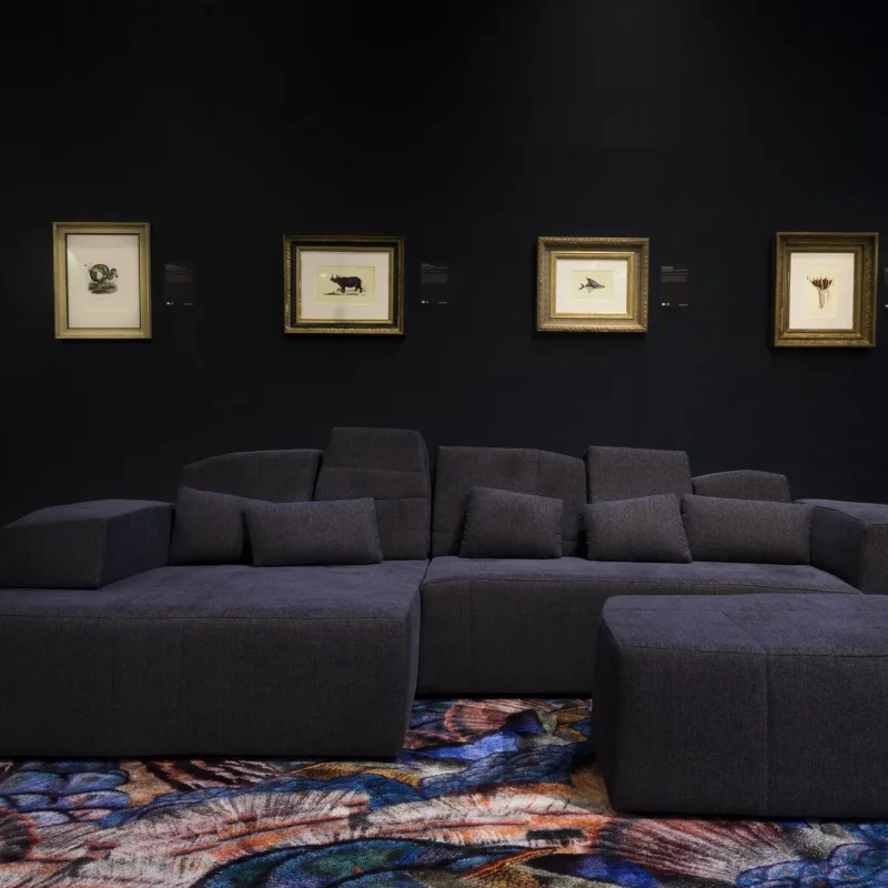 Calligraphy Bird – Moooi Carpets at Mesmetric