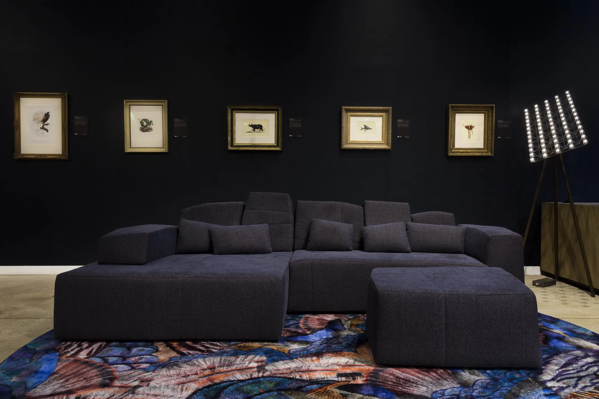 Calligraphy Bird – Moooi Carpets at Mesmetric