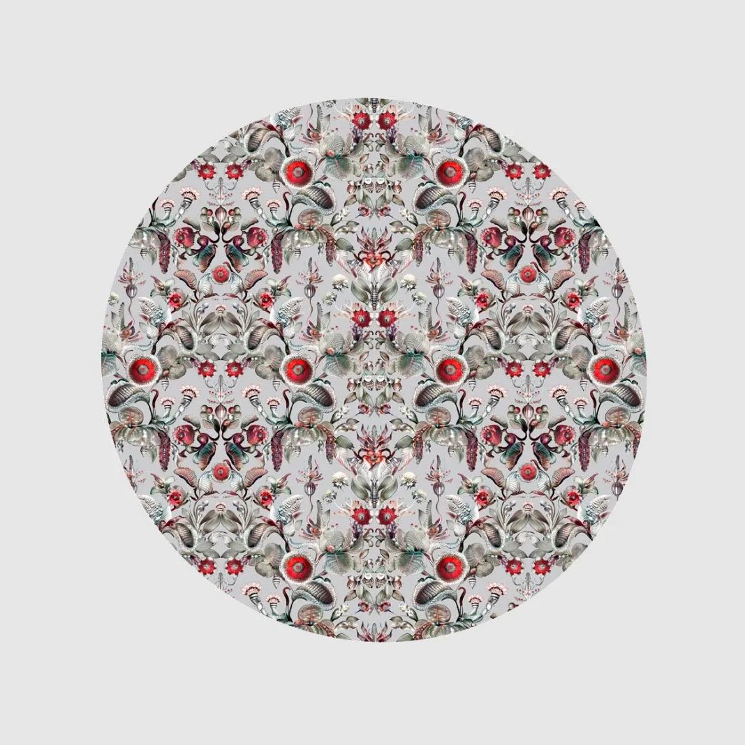 Coccinella Bella