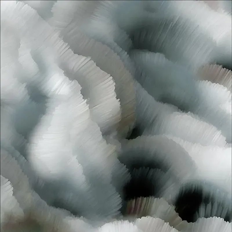 Flitter Flutter – Moooi Carpets at Mesmetric