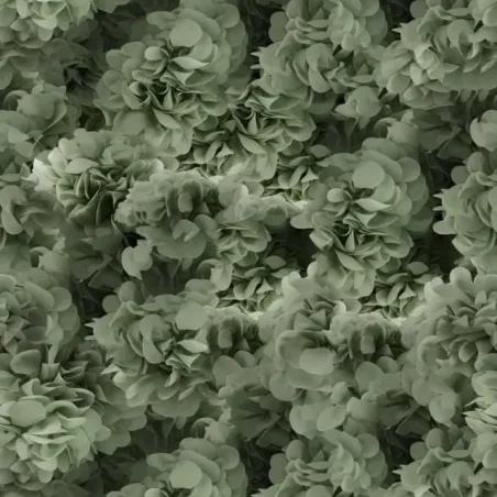 Hortensia