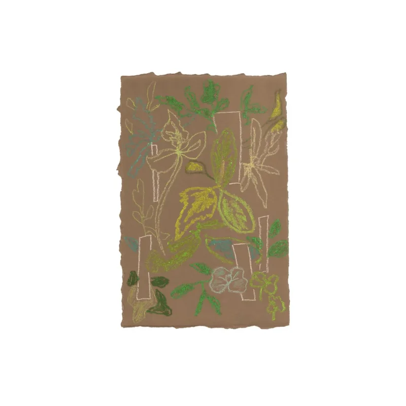 Sprouts – Moooi Carpets at Mesmetric