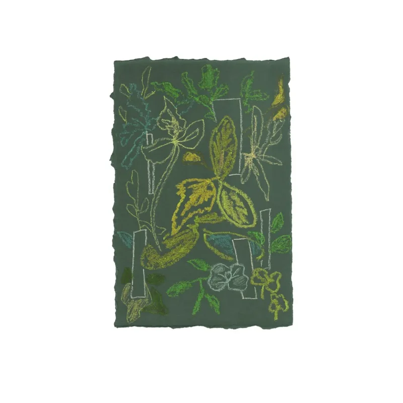 Sprouts – Moooi Carpets at Mesmetric
