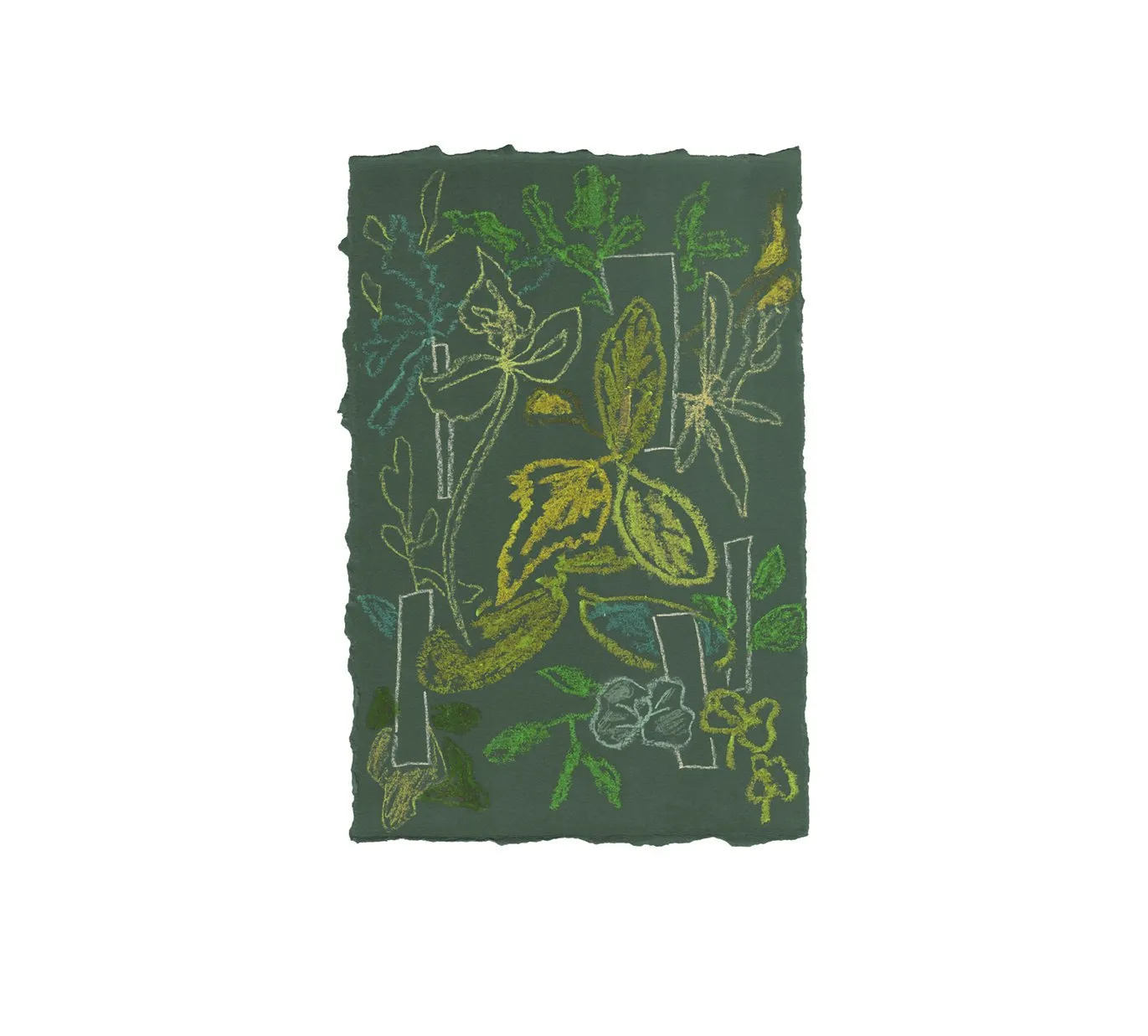 Sprouts – Moooi Carpets at Mesmetric