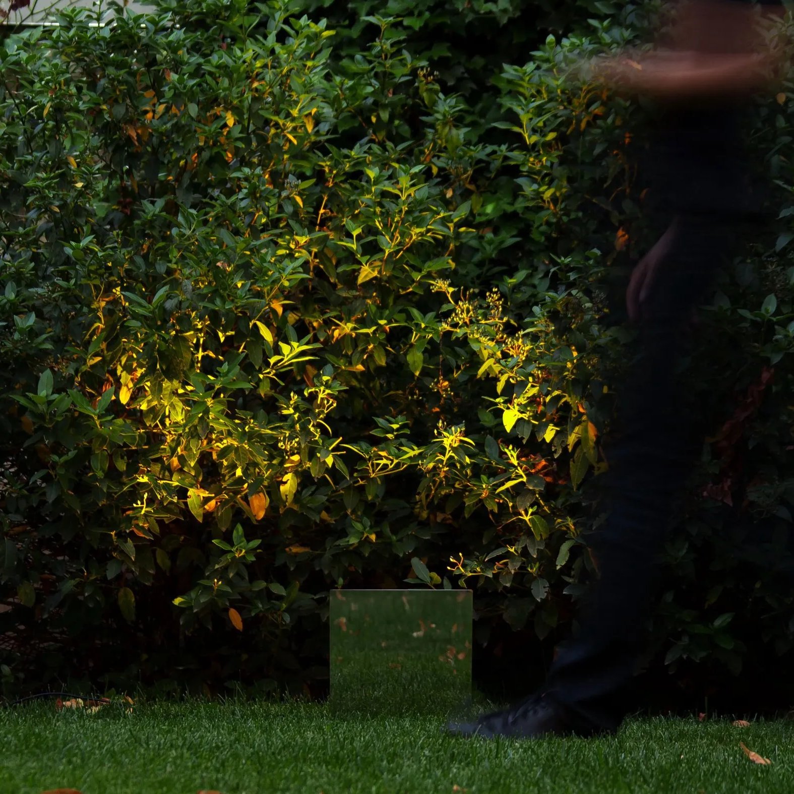Belladinotte – Davide Groppi at Mesmetric