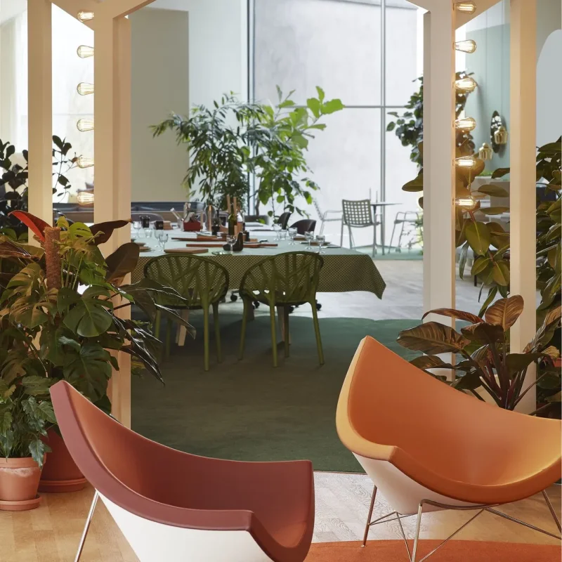 Coconut - Vitra w Mesmetric