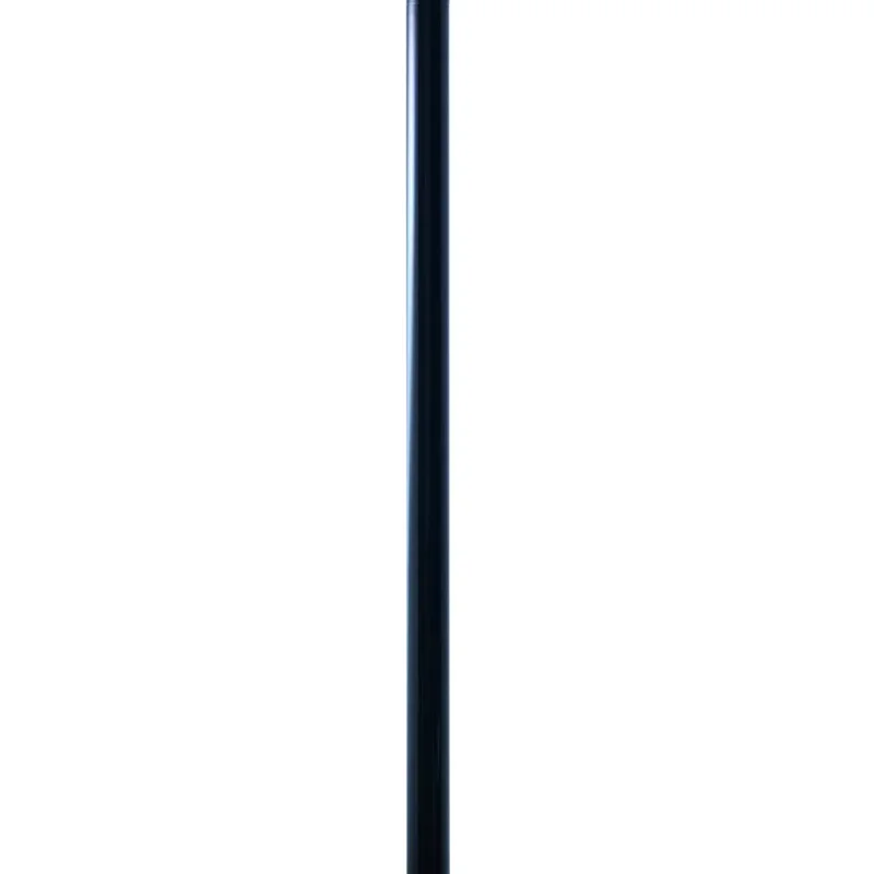AM2Z