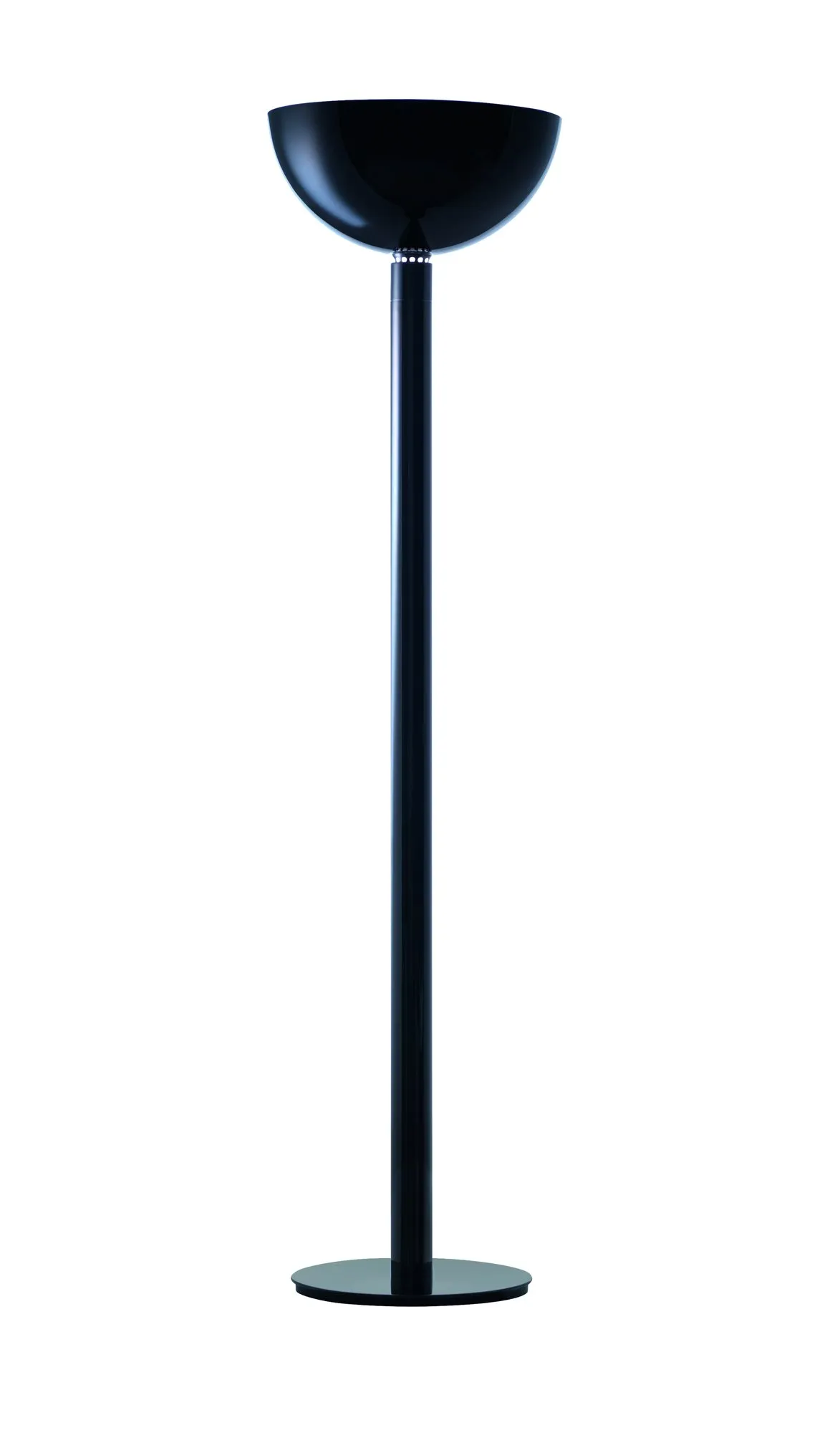 AM2Z
