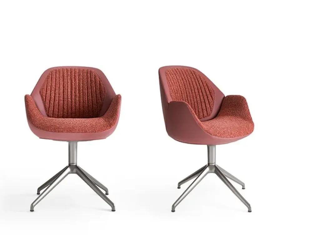 Calathea Low – Giorgetti at Mesmetric
