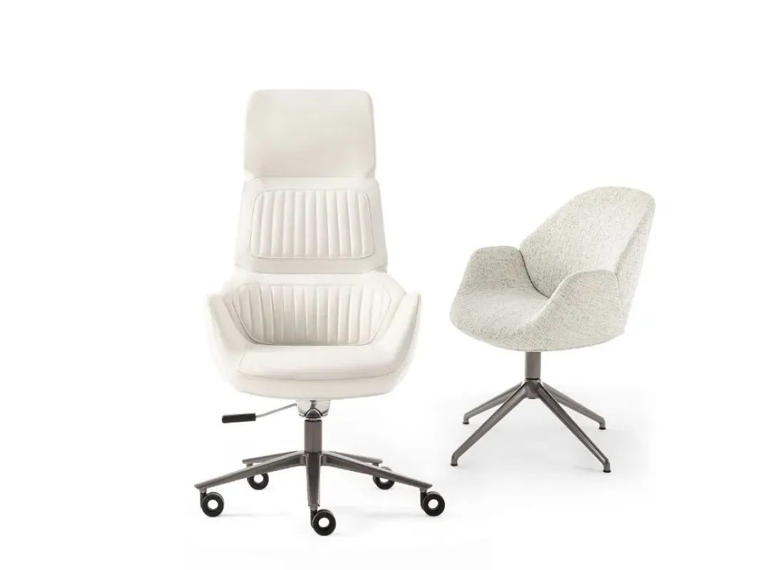 Calathea Low – Giorgetti at Mesmetric