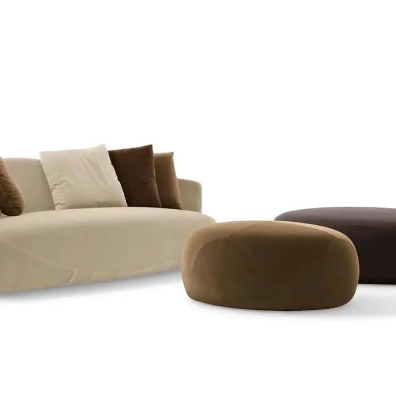 Solemyidae – Giorgetti at Mesmetric
