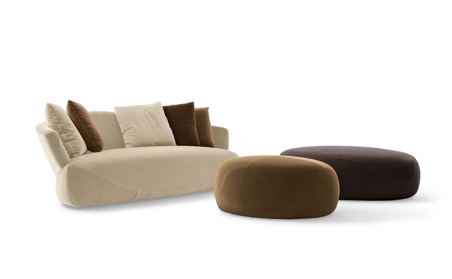 Solemyidae – Giorgetti at Mesmetric