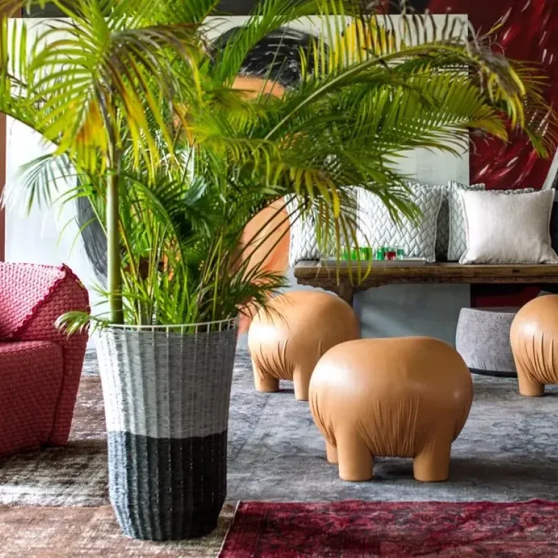 Anomaly – Moroso at Mesmetric
