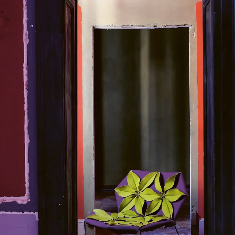 Antibodi – Moroso at Mesmetric