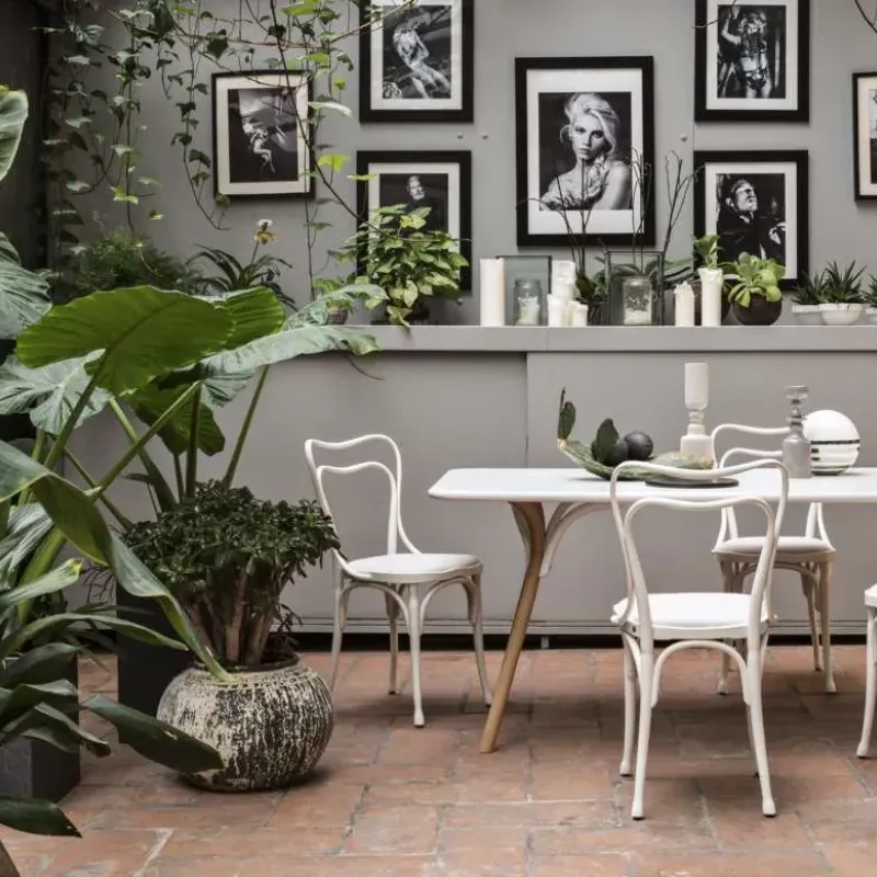 Arch Dining – Gebrüder Thonet Vienna at Mesmetric