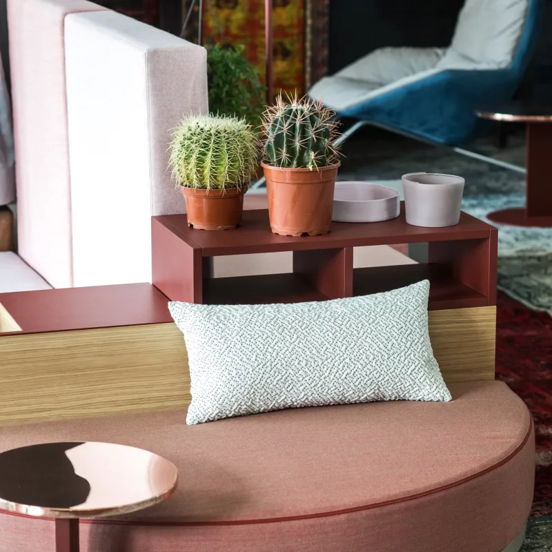 Bikini Island – Moroso at Mesmetric