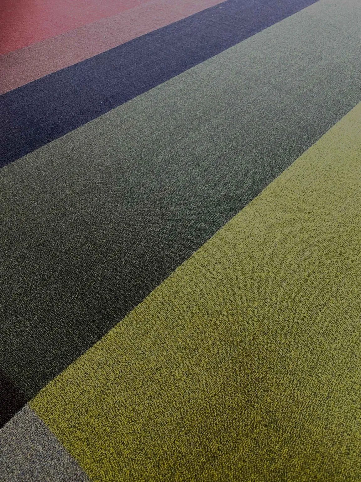Blended 5 Colours - Moooi Carpets w Mesmetric