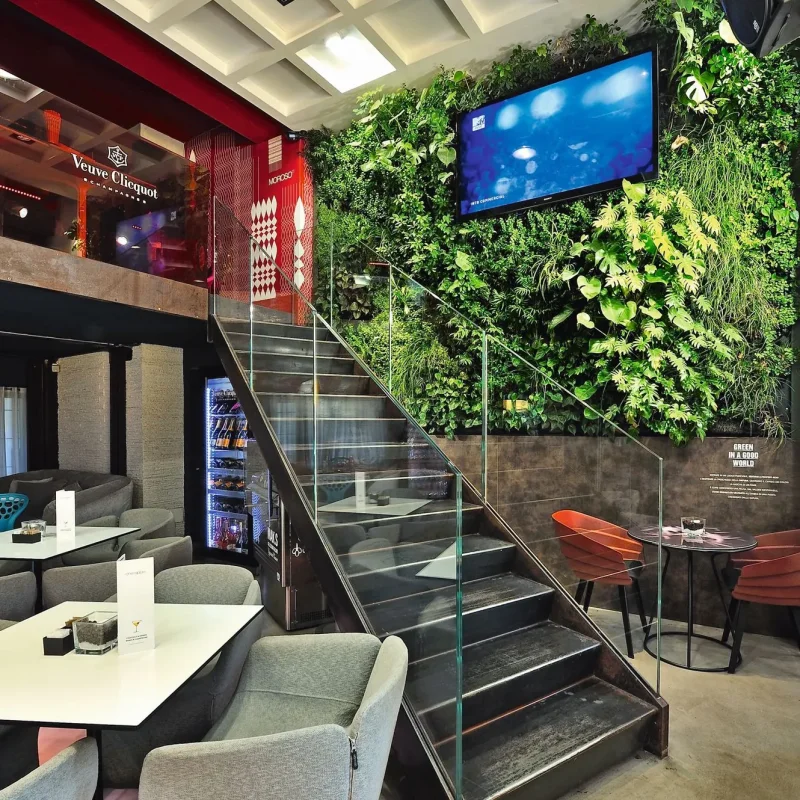 Bloomy – Moroso at Mesmetric