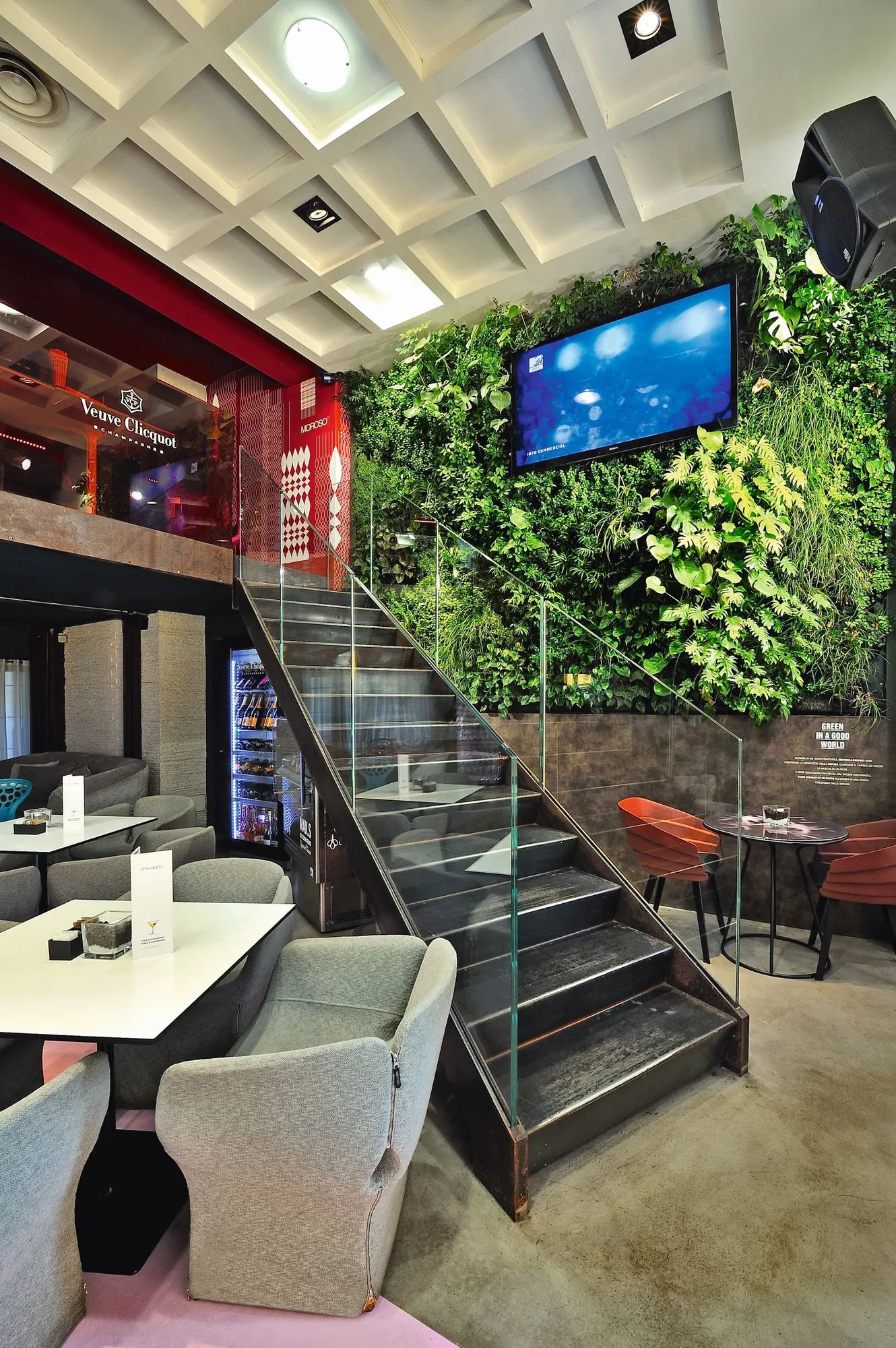 Bloomy – Moroso at Mesmetric