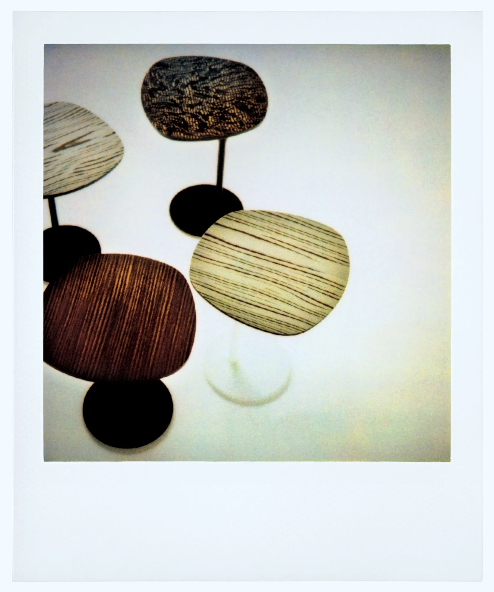 Bloomy – Moroso at Mesmetric